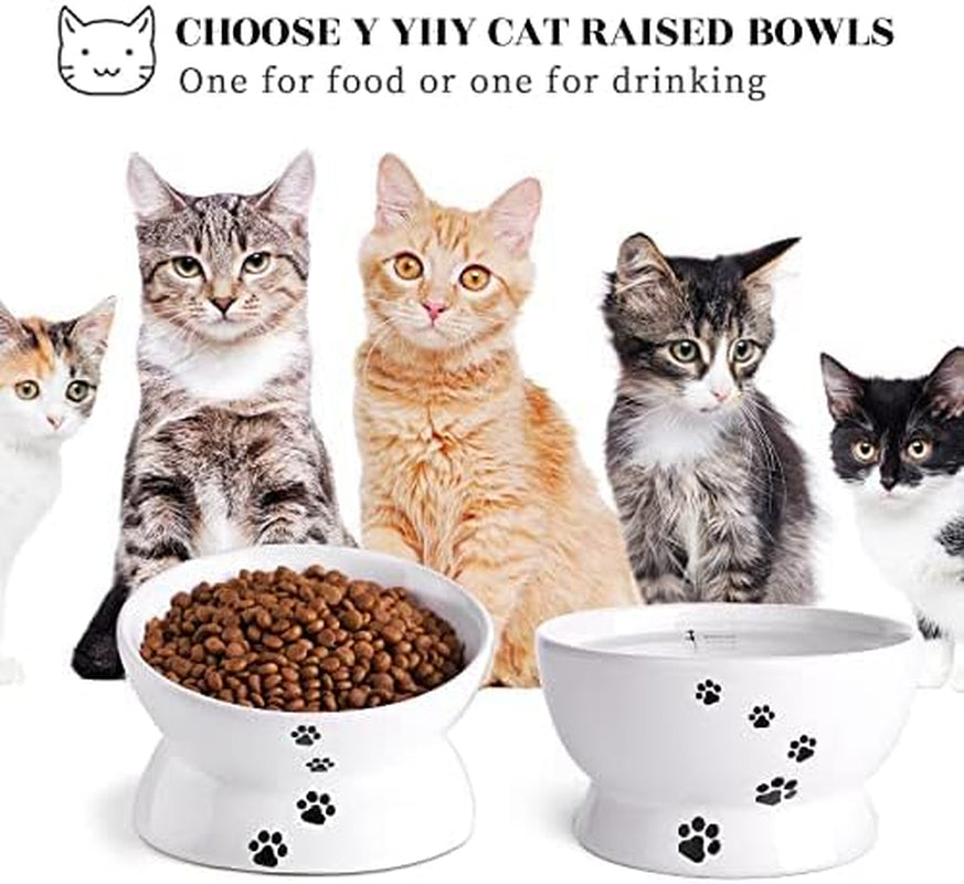 Raised Cat Food Bowl Set, Ceramic, Tilted Elevated Bowls, 2 Bowls, 3.6 in & 3 In, White