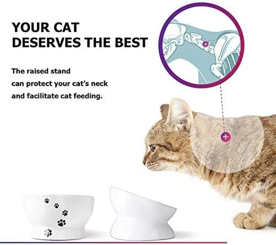 Raised Cat Food Bowl Set, Ceramic, Tilted Elevated Bowls, 2 Bowls, 3.6 in & 3 In, White