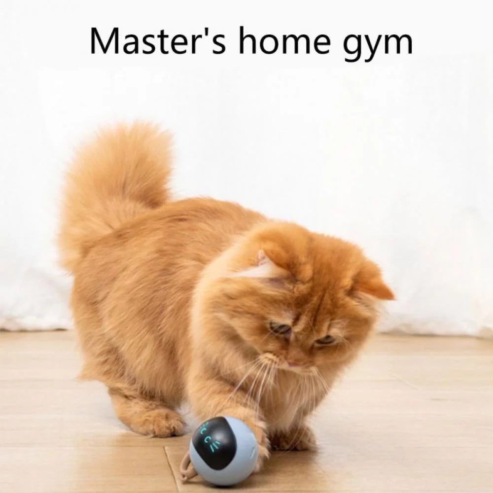 Interactive Cat Toy Ball the Best Smart Cat Interactive Toy with Automatic Rotation and USB Charging LED Light Cat Electronic Toy Ball Is Suitable for Indoor Cat and Kitten Exercise Toys