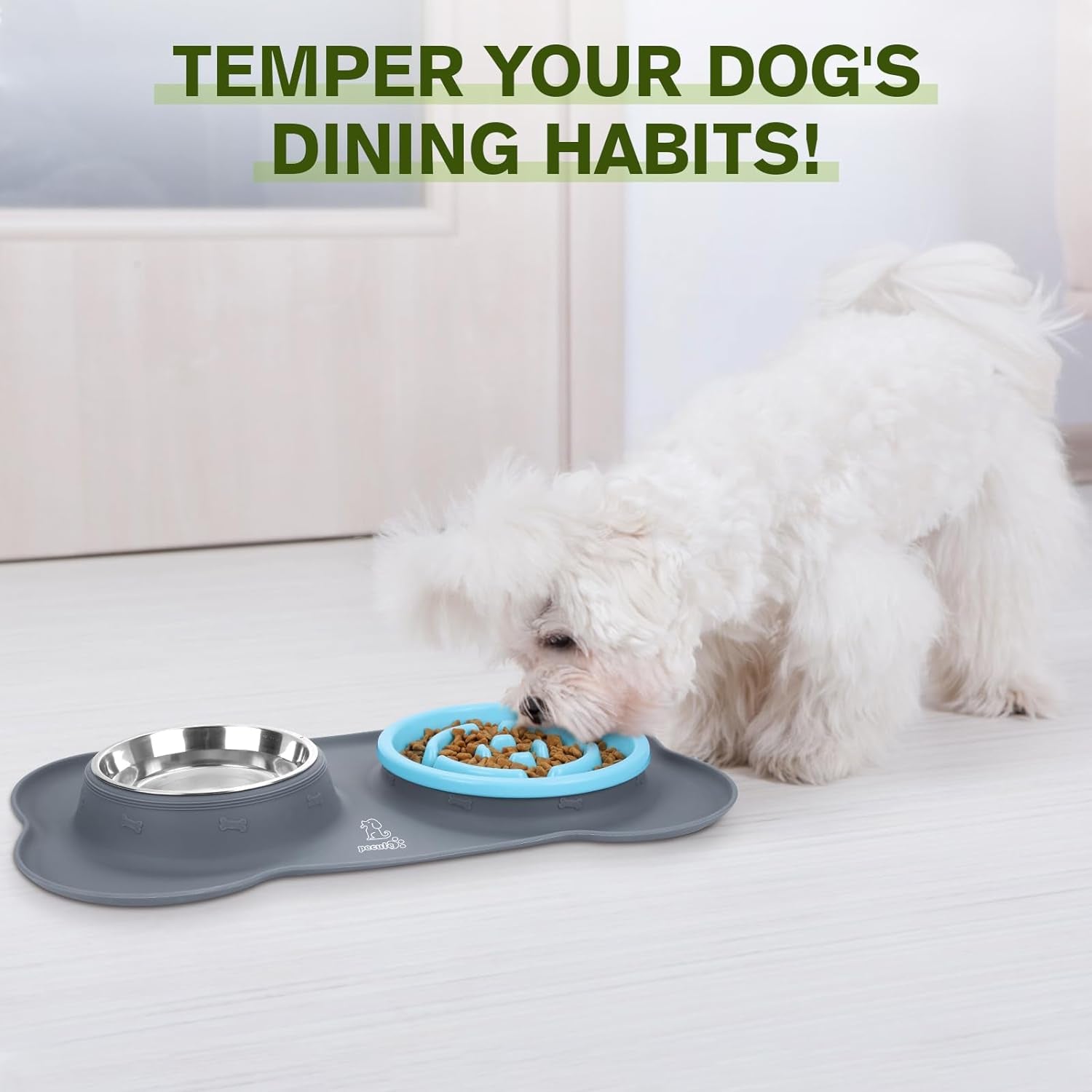 Slow Feeder Dog Bowls to Slow down Eating, Dog Bowl Slow Feeder with No-Spill Non-Skid Silicone Mat, Food-Grade Safe Dog Food Bowls Slow Feeder, Stainless Steel Dog Water Bowl for Dogs Cats