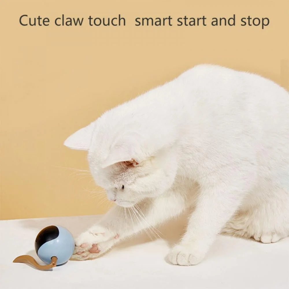 Interactive Cat Toy Ball the Best Smart Cat Interactive Toy with Automatic Rotation and USB Charging LED Light Cat Electronic Toy Ball Is Suitable for Indoor Cat and Kitten Exercise Toys