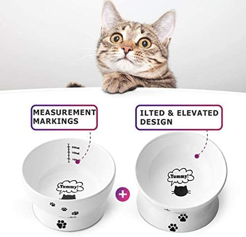 Raised Cat Food Bowl Set, Ceramic, Tilted Elevated Bowls, 2 Bowls, 3.6 in & 3 In, White