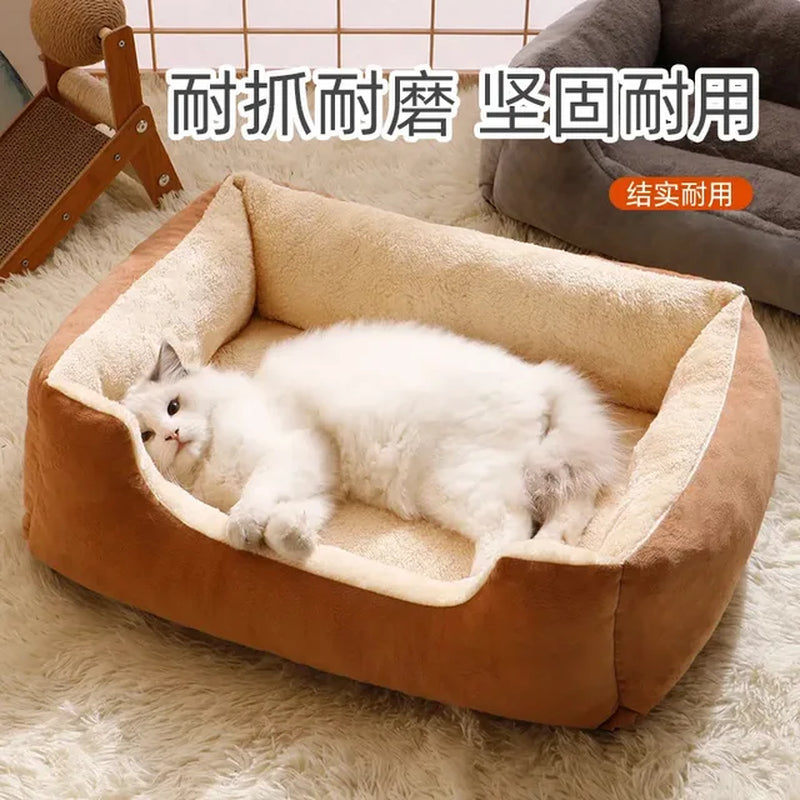 Bed for Cats Pet Products Cushions Kitten Goods Accessories Dog All Houses Supplies Things Accessory Habitats Basket House Beds